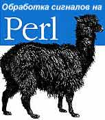 Моделирование и визуализация голограмм Фурье на Perl Моделирование и визуализация голограмм Фурье на Perl
